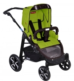 Коляска 2 в 1 Patron Fenix 4C-B (черная рама) — spirit lime 659