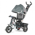 Трехколесный велосипед TechTeam 950D-AT — серый