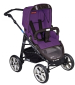 Коляска 2 в 1 Patron Fenix 4XC-B (черная рама) — spirit plum purple 658