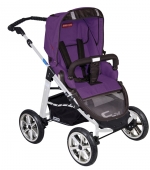 Коляска 2 в 1 Patron Fenix 4XC-S (серебряная рама) — spirit plum purple 658