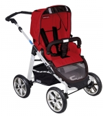 Коляска 2 в 1 Patron Fenix 4XC-S (серебряная рама) — spirit ruby rose 660