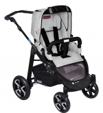 Прогулочная коляска Patron Fenix 4C-S (серебряная рама)  — spirit silver grey 657