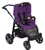 Коляска 2 в 1 Patron Fenix 4C-B (черная рама) — spirit plum purple 658